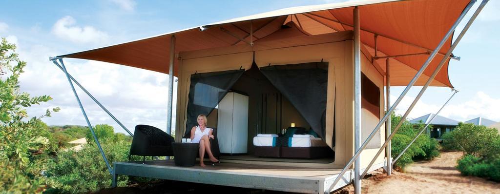 Zelt Eco mit Gartenblick